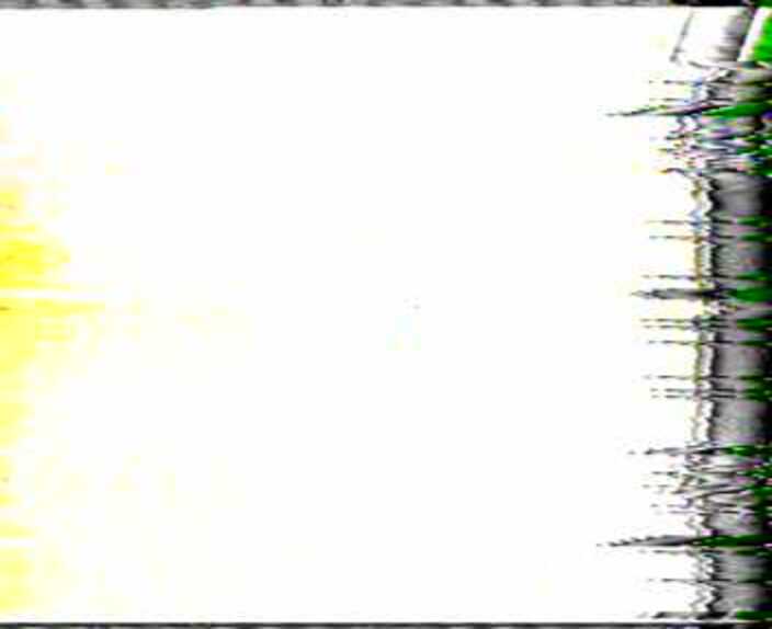 Chojno